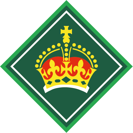King Scout's Award