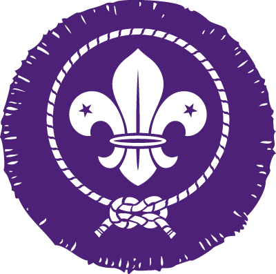 My Time in Scouting